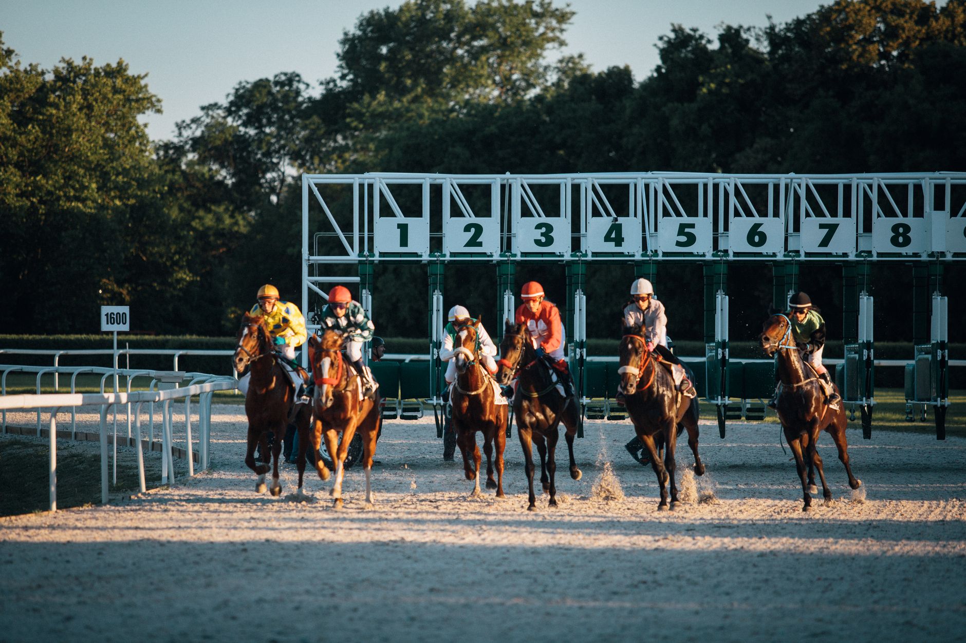 Chevaux au galop lors d'une course de plat sur un hippodrome, illustration des paris hippiques en ligne