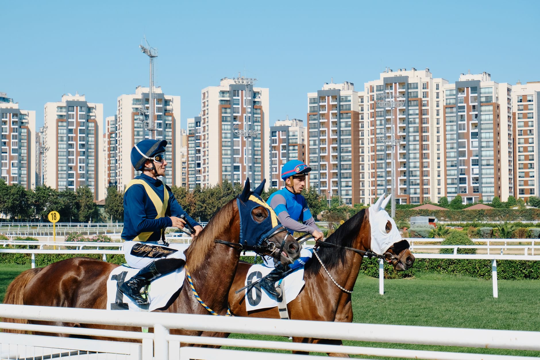 Sulky et trotteur en pleine course de trot attelé, support de nombreux paris hippiques en ligne